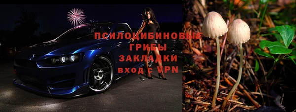 мяу мяу мука Алзамай