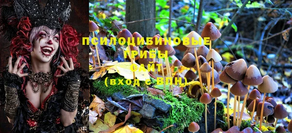 экстази Аркадак