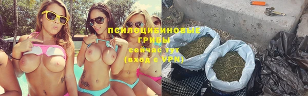 мяу мяу мука Армянск