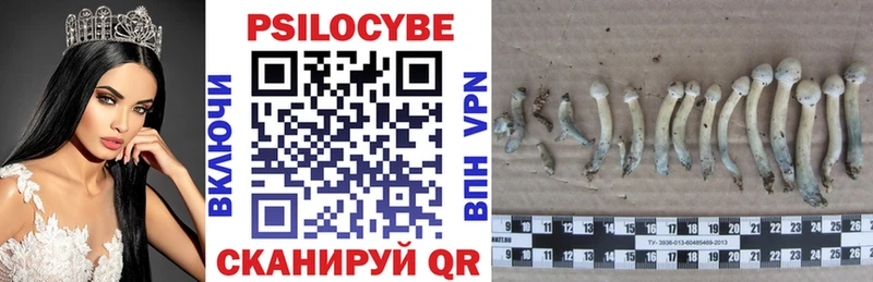 Галлюциногенные грибы мицелий купить наркотик Крым